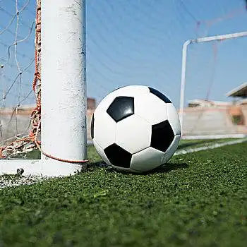 多场景应用示例